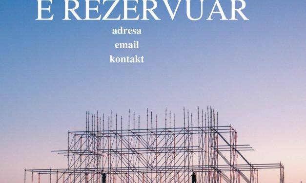 Denaj/ Synojmë ulje të borxhit dhe rritje të të ardhurave