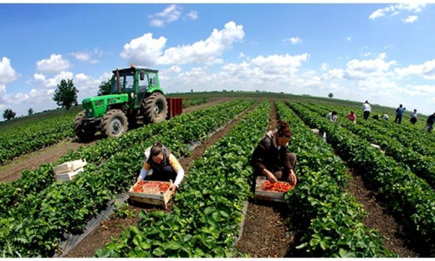 Zhvilloni Agrobiznesin tuaj!