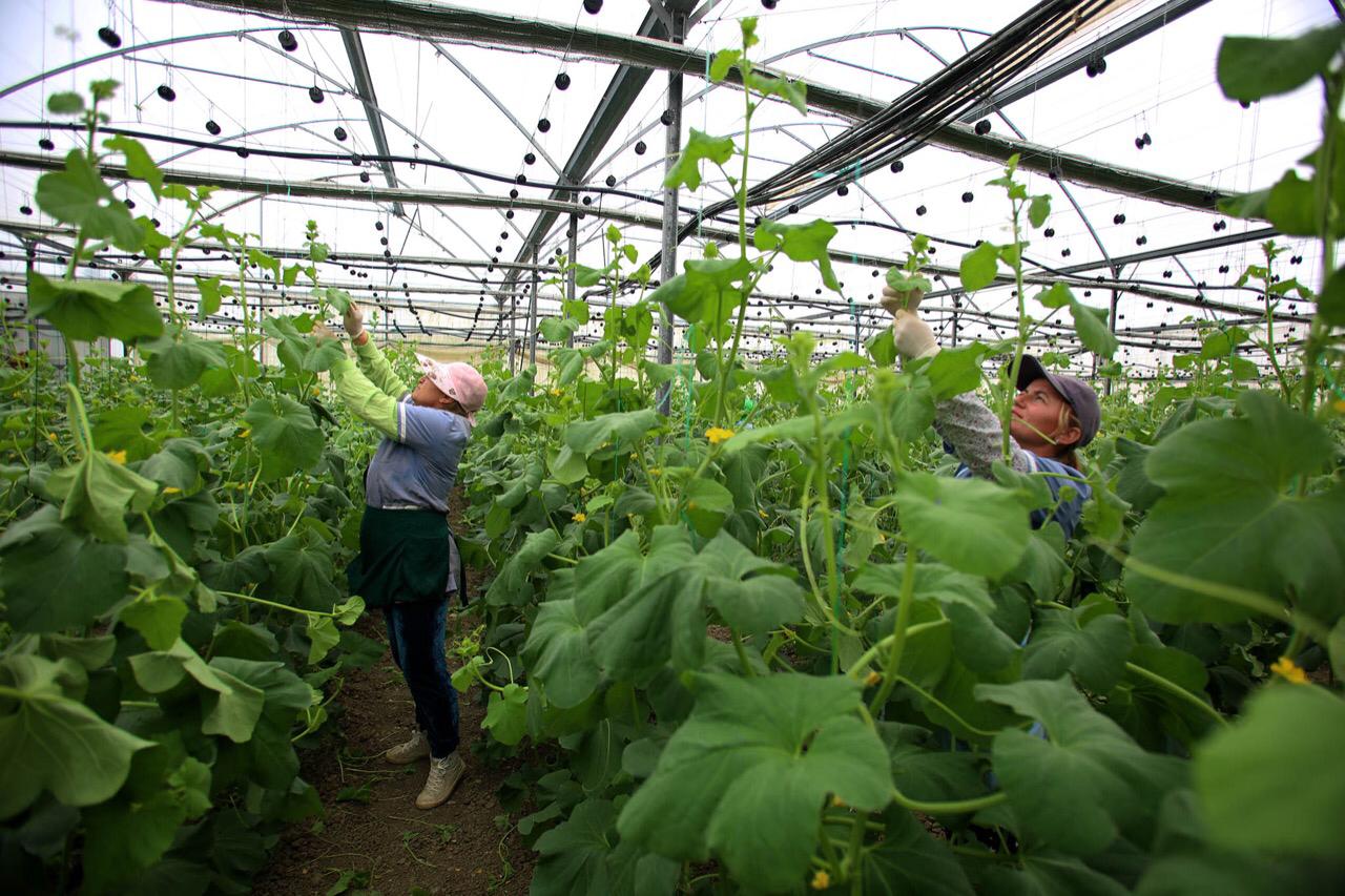 WhatsApp-Image-2020-05-28-at-2.48.07-PM