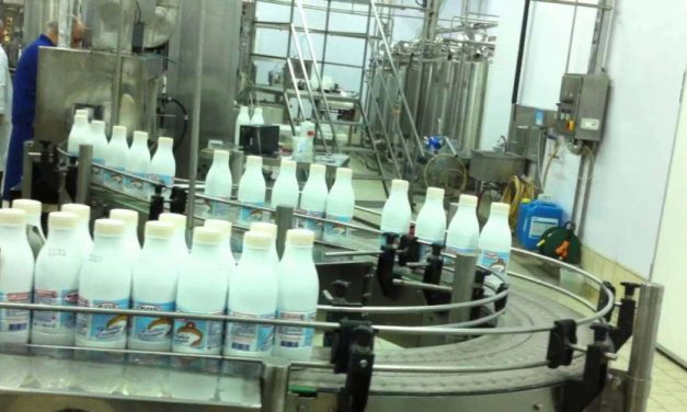 66 investime të reja në industrinë e qumështit, shtuan 2 mijë vende pune