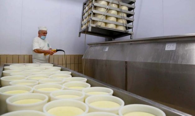 Fondi i Skemës Kombëtare/ 727 milionë lekë financime për blegtorinë