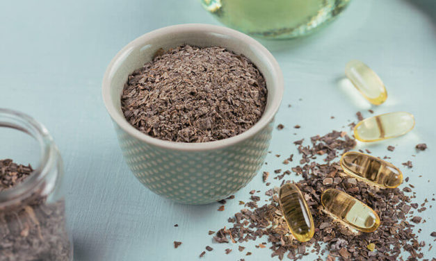 Projekti turistik per Komanin dhe Vaun e Dejes: KESH perzgjedh fituesin