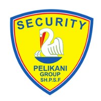 Pelikani Security