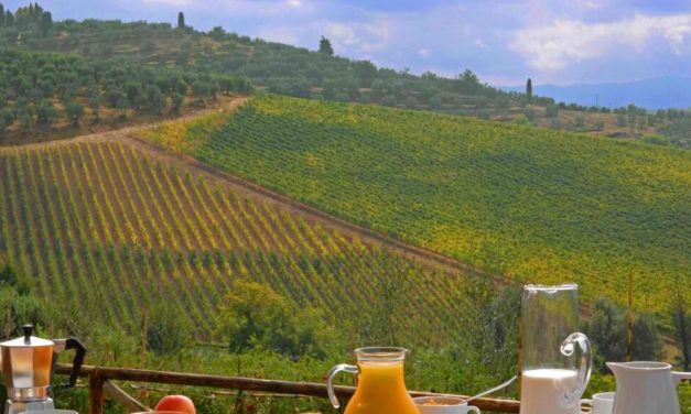 AZHBR:64 aplikime investimesh në sektorin e agroturizmit