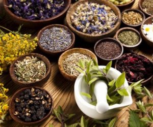 Rritet eksporti i bimëve mjekësore,  me 30% në janar-shkurt 2021