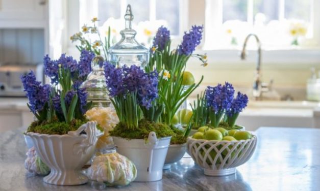 Zymbylat, për ngjyra të hareshme dhe erë dehëse në shtëpi