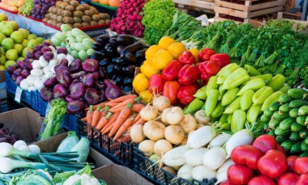 Shqipëria renditet e para në rajon për prodhimin e perimeve