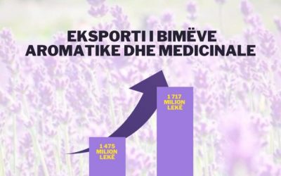 Rritet me 16%, eksporti i bimëve aromatike dhe medicinale