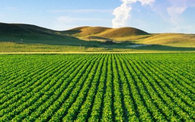 Skema kombëtare e mbështetjes për fermerët – Shtyhen afatet e aplikimeve