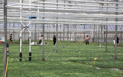 AZHBR përgatit akreditimin e masave mjedisore