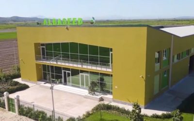 Prodhohet plehu i parë kristalin “Made in Albania”