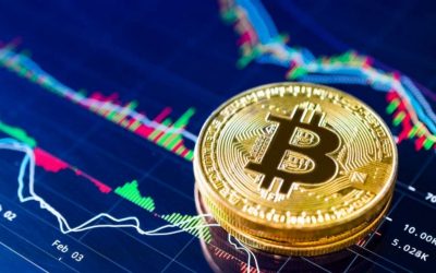 3 arsye pse duhet të investoni në kriptomonedha gjatë 2022