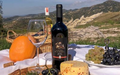 Verërat Shqiptare një gjeneratë të re Brandi