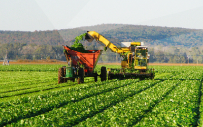 Kredia për agrobizneset pati rritje me 33% gjatë vitit të kaluar