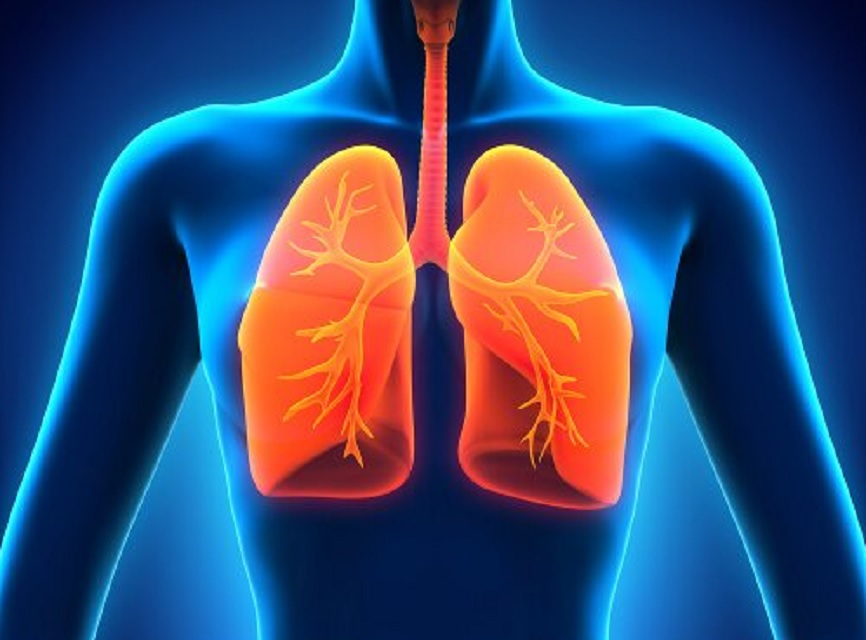 792AE636-9FE0-4E34-83B3-5CD671E32C6B