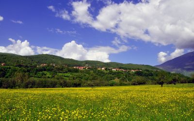 Malet E Sharrit, Një Park Kombëtar Nga Më Të Mëdhenjtë Në Europë?