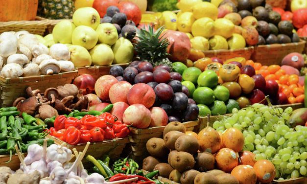 Shtohen eksportet shqiptare, fruta-perimet po shkojnë më shumë në rajon