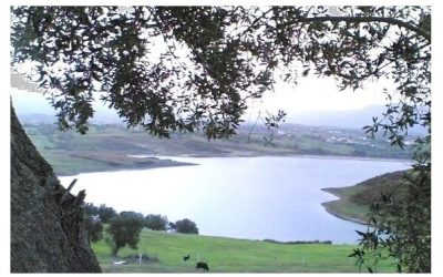 Liqeni i Prushit, destinacioni turistik shumë afër kryeqytetit