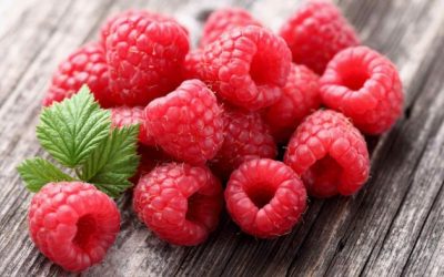 Këtë Frut Duhet Ta Konsumoni Çdo Ditë – Vlerat Fantastike