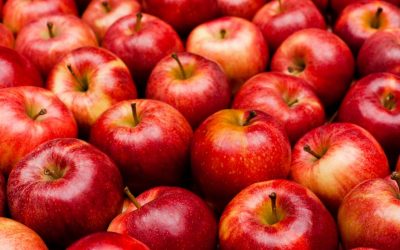 Molla që Nuk Duhet të Përdorni Kurrë në Gatim