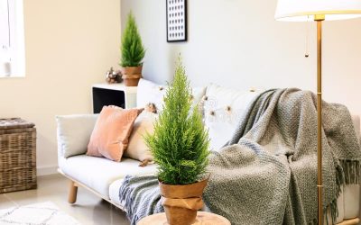 Një mënyrë e thjesht për të pasur ajër të mirë në shtëpinë tuaj gjatë dimrit