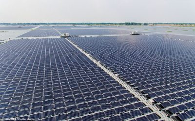 Si panelet diellore po kthehen në faktor kyç për të ardhmen energjitike