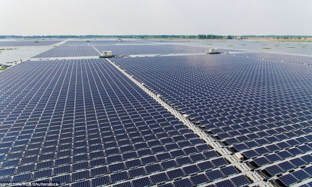 Privatët, interes për energjinë diellore – Aplikimi pranë MIE për central 150 MW në Darzezë të Fierit, më i madhi në vend