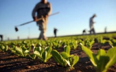 Fermerët:  Të falen detyrimet për subjektet dhe të rriten fondet për naftën