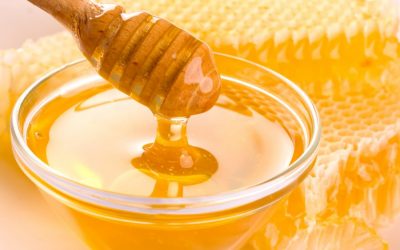 Mjalti më i mirë i Shqipërisë dhe llojet më të njohura sipas zonave