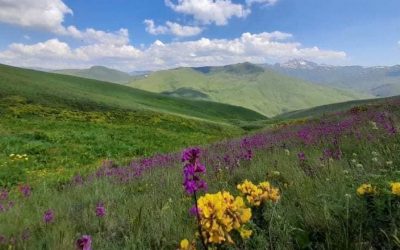 Destinacioni më i Ri ”Shtegu i Ngjyrave” – Magjia e Livadheve Alpine
