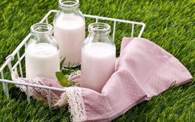 Sa kushton qumështi lëndë e parë? Nga 35 lekë deri në 90 lekë/litër, informaliteti dëmton tregun