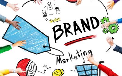 Shkenca e marketingut emocional dhe ndikimi i emocioneve në përzgjedhjen e markës