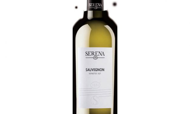 Verë e bardhë Sauvignon Terra Serena