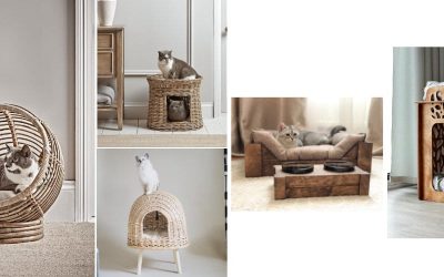 Tendenca për stilin e bastun prej palme kacavjerrëse tashmë është rikthyer