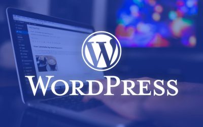 Shkaku i sulmeve kibernetike, WordPress urgjentisht u përditësua