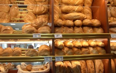 OSHEE, apel pronarëve të furrave të bukës, zbulon si do zhvillohet procedura e mbylljes së kontratave