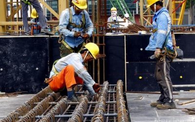 Çfarë kërkon më shumë tregu i punës në Shqipëri dhe në Bashkimin Europian