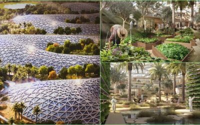 Dubai vjen me destinacionin më të madh të agroturizmit në botë!
