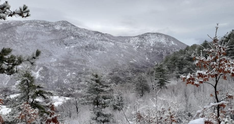 Qafë Shtama turistike,
