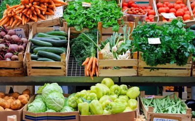 Tregu organik gjerman u tkurr në vitin 2022 për herë të parë në historinë e tij