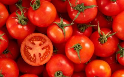 Tregu mbushet me domate greke dhe turke, domatet vendase eksportohen jashtë