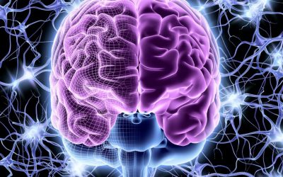 Vendet më të zgjuara të botës sipas nivelit të IQ-së