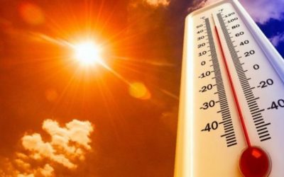 Temperaturat mund ta bëjnë botën pjesërisht të pabanueshme