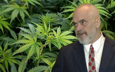 Kuvendi miraton ligjin për legalizimin e kanabisit mjekësor, diplomat e mjekësisë dhe ASH-në