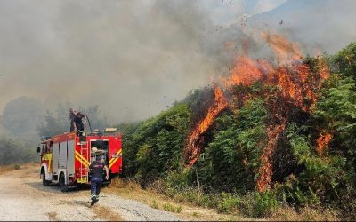 Ministria e Mbrojtjes: 20 vatra zjarri janë shuar në 24 orët e fundit