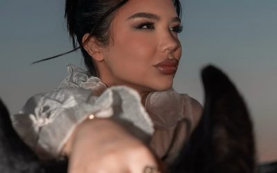 Alba rikthehet në BBVK sikur asgjë të mos kishte ndodhur