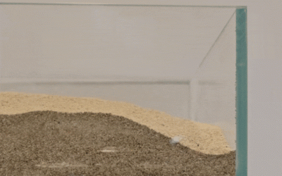 Shkencëtarët krijojnë robotin e parë të ngrënshëm