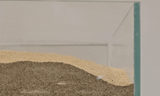 Shkencëtarët krijojnë robotin e parë të ngrënshëm