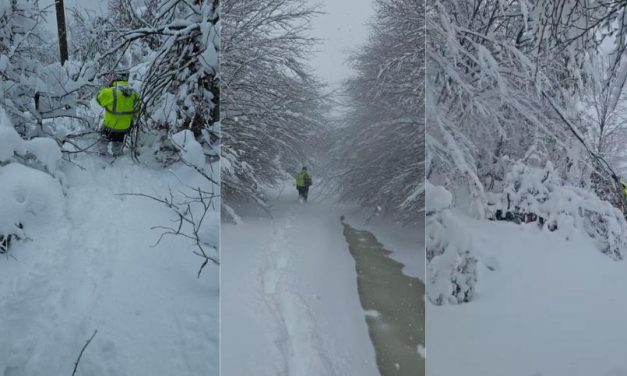 Infrastrukturë e fortë, njerëz të përkushtuar: Vodafone Albania siguron ndërlidhje edhe në situata emergjence