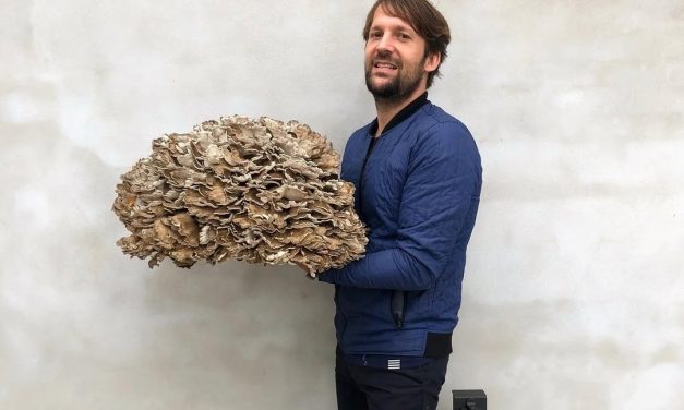 Ferri në kuzhinën e Noma: René Redzepi akuzohet për dhunë fizike ndaj 35 punonjësve!